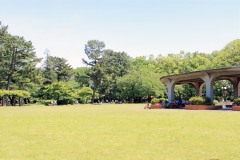 公園,町,屋外,晴れ,春