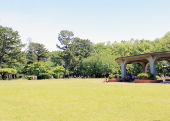 公園,町,屋外,晴れ,春