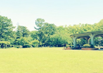 公園,町,屋外,晴れ,春,昭和レトロ