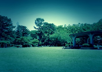 公園,町,屋外,晴れ,春,ホラー