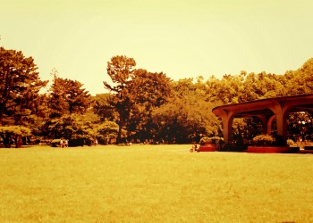 公園,町,屋外,晴れ,春,ヴィンテージ