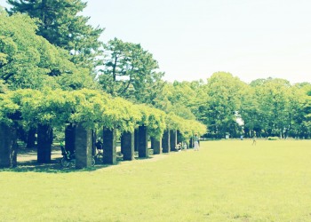 公園,町,屋外,夏,晴れ,昭和レトロ
