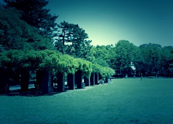 公園,町,屋外,夏,晴れ,ホラー