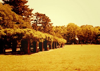 公園,町,屋外,夏,晴れ,ヴィンテージ