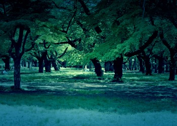 公園,町,屋外,夏,晴れ,ホラー