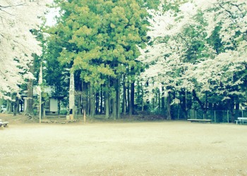 公園,町,屋外,春,晴れ,昭和レトロ