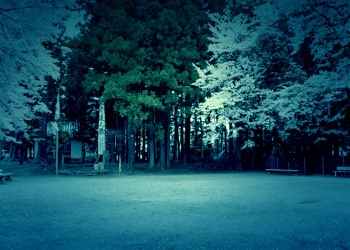 公園,町,屋外,春,晴れ,ホラー