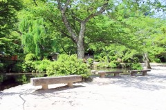 公園,町,屋外,夏,晴れ