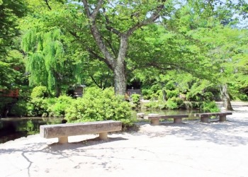 公園,町,屋外,夏,晴れ