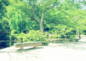 公園,町,屋外,夏,晴れ,昭和レトロ