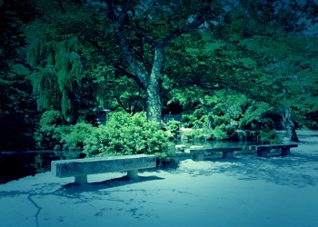公園,町,屋外,夏,晴れ,ホラー