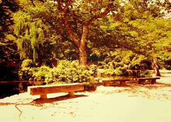 公園,町,屋外,夏,晴れ,ヴィンテージ