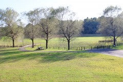 公園,町,冬,屋外,曇り
