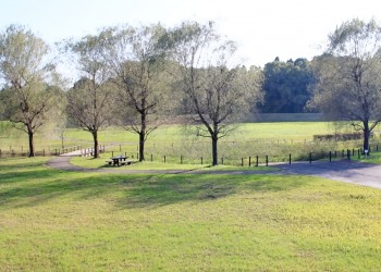 公園,町,冬,屋外,曇り