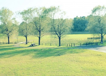 公園,町,冬,屋外,曇り,昭和レトロ