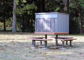 公園,町,冬,屋外,曇り