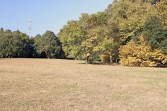 公園,町,屋外,秋