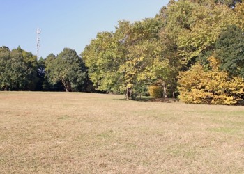 公園,町,屋外,秋