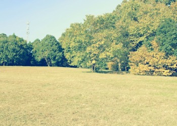公園,町,屋外,秋,昭和レトロ