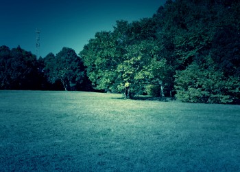公園,町,屋外,秋,ホラー
