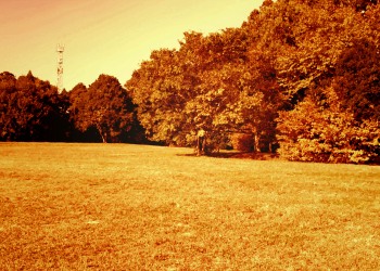 公園,町,屋外,秋,ヴィンテージ
