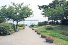 公園,町,屋外,夏