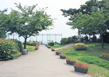 公園,町,屋外,夏