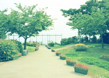 公園,町,屋外,夏,昭和レトロ