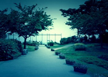 公園,町,屋外,夏,秋,ホラー