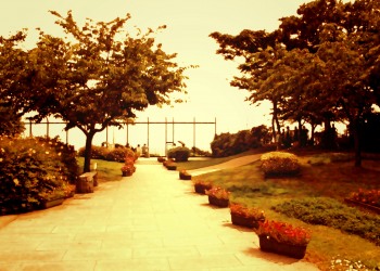 公園,町,屋外,夏,ヴィンテージ