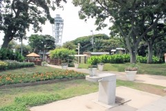 公園,町,屋外,夏