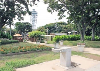 公園,町,屋外,夏