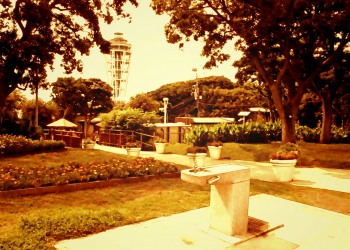 公園,町,屋外,夏,ヴィンテージ