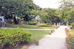 公園,町,屋外,夏
