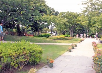 公園,町,屋外,夏
