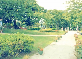 公園,町,屋外,夏,昭和レトロ