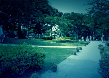公園,町,屋外,夏,ホラー