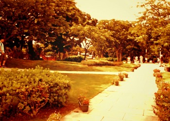 公園,町,屋外,夏,ヴィンテージ