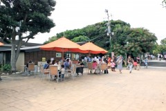 公園,町,屋外,夏