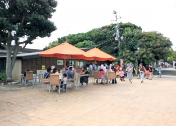 公園,町,屋外,夏