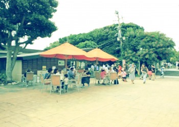 公園,町,屋外,夏,昭和レトロ