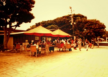 公園,町,屋外,夏,ヴィンテージ