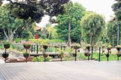 公園,町,屋外,夏,曇り