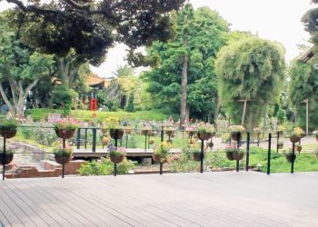 公園,町,屋外,夏,曇り