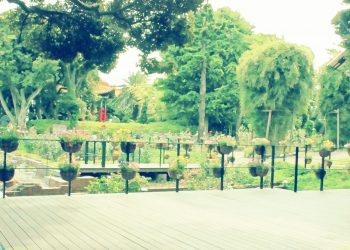 公園,町,屋外,夏,曇り,昭和レトロ