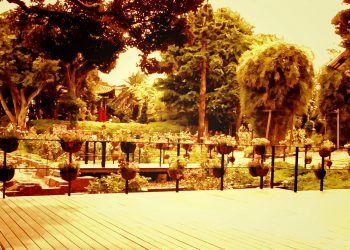 公園,町,屋外,夏,曇り,ヴィンテージ