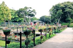 公園,町,屋外,夏,曇り