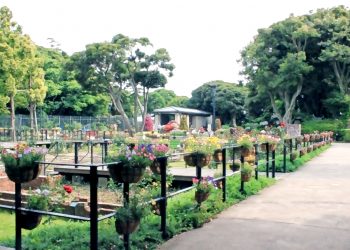 公園,町,屋外,夏,曇り
