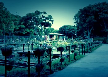 公園,町,屋外,夏,曇り,ホラー