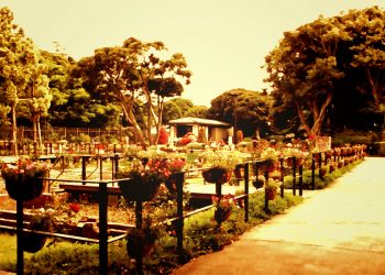 公園,町,屋外,夏,曇り,ヴィンテージ